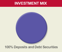 Investment mix about 100% deposits and debt securities