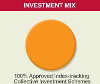 Investment mix about 100% equities